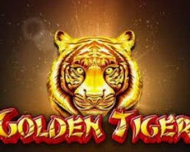 Golden Tiger