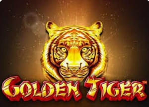 Golden Tiger