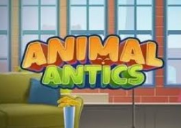 Animal Antics