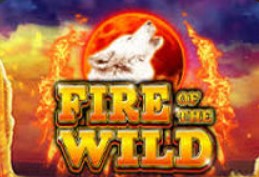 Fire of the Wild