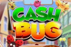 Cash Bug