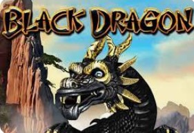 Black Dragon