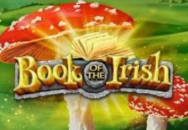 Book of the Irish