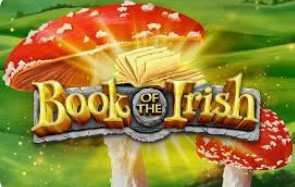 Book of the Irish