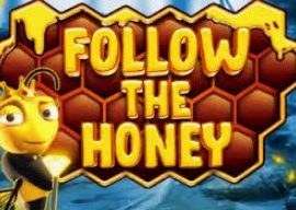 Follow The Honey