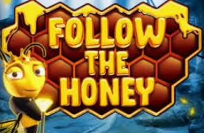 Follow The Honey