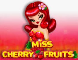 Miss Cherry Fruits