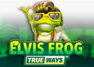 Elvis Frog TrueWays