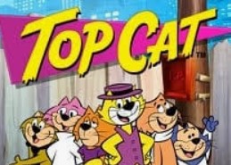 Top Cat