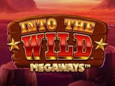 Into The Wild Megaways 