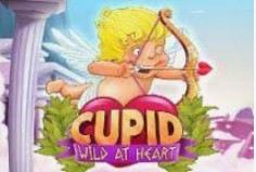 Cupid Wild at Heart
