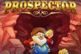 Prospector 