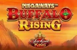 Megaways Buffalo Rising Jackpot King