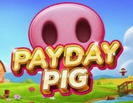 Payday Pig