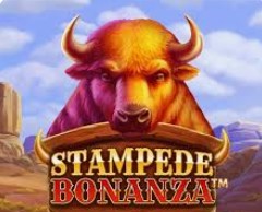 Stampede Bonanza