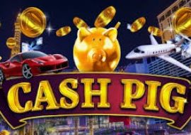 Cash Pig