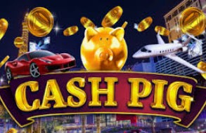 Cash Pig