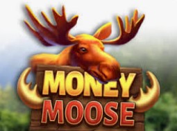 Money Moose