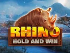 Rhino Hold and Win