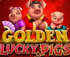 Golden Lucky Pigs