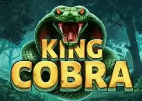 King Cobra