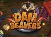 Dam Beavers