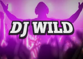 DJ Wild