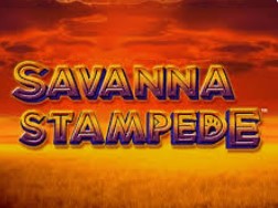 Savanna Stampede