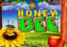 Honey Bee