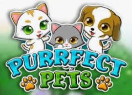 Purrfect Pets