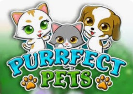 Purrfect Pets