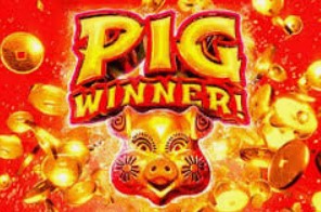 Pig Winner