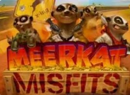 Meerkat Misfits