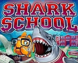 Shark School