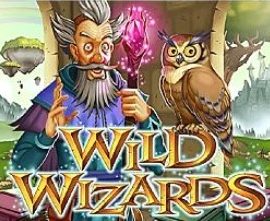 Wild Wizards 