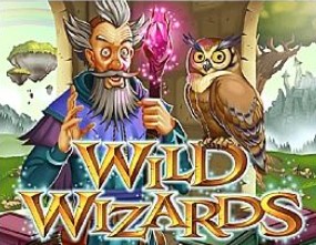 Wild Wizards 