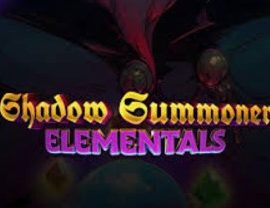 Shadow Summoner Elementals