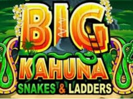 Big Kahuna Snakes and Ladders