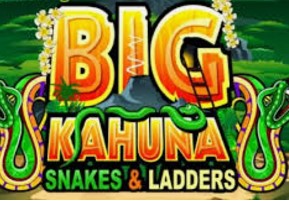 Big Kahuna Snakes and Ladders