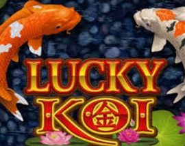 Lucky Koi