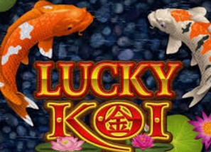 Lucky Koi