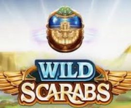 Wild Scarabs