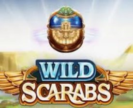 Wild Scarabs