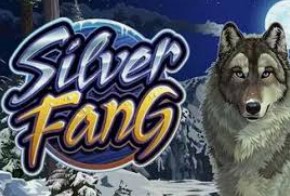 Silver Fang