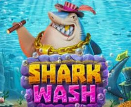 Shark Wash