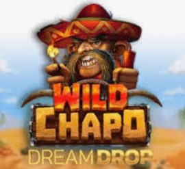 Wild Chapo Dream Drop