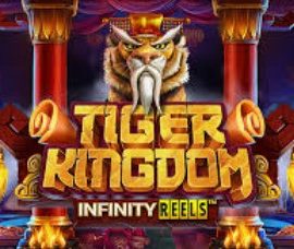 Tiger Kingdom Infinity Reels