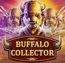 Buffalo Collector