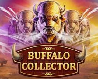 Buffalo Collector