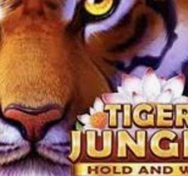 Tiger Jungle Hold and Win